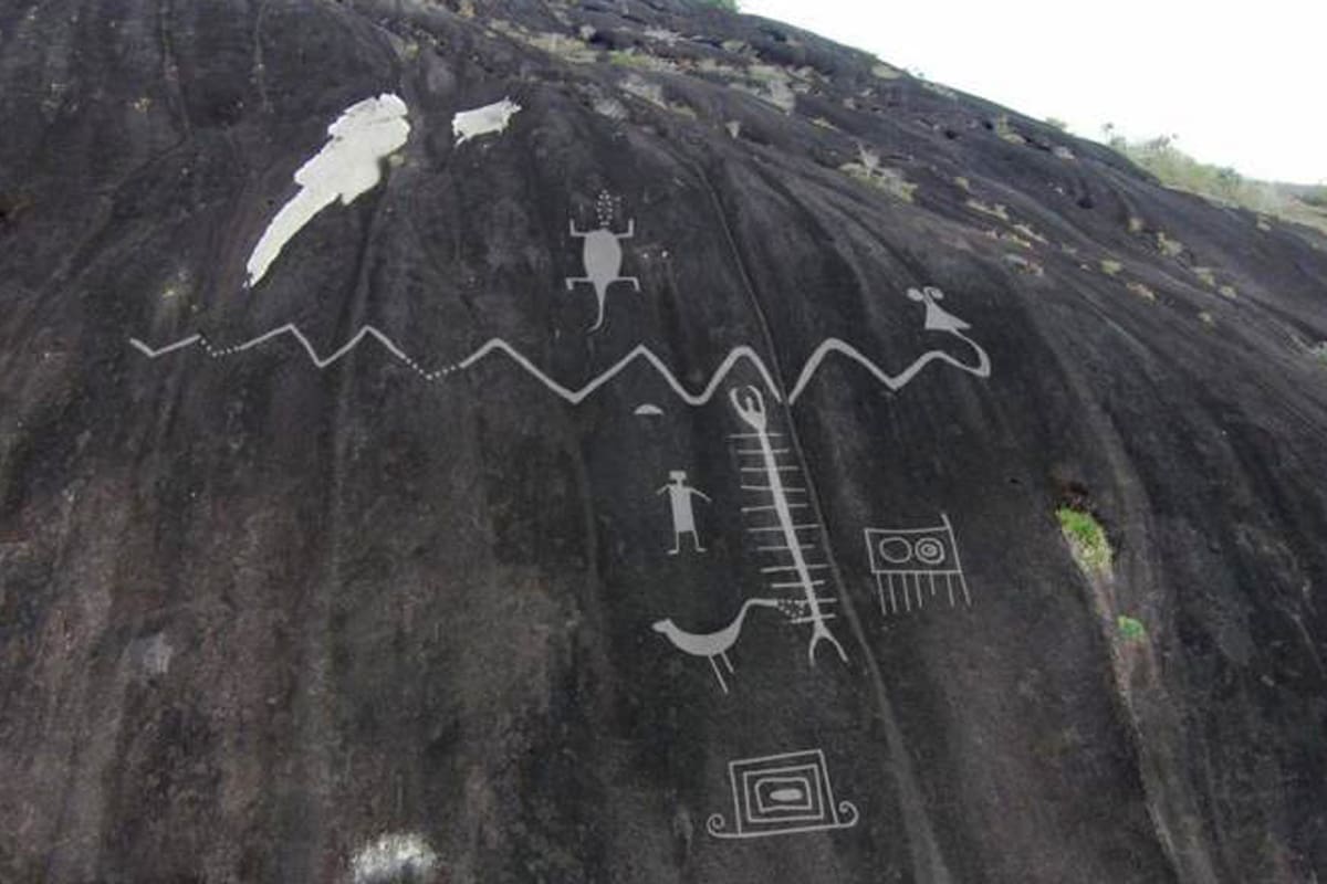 Los investigadores documentaron dibujos de serpientes de hasta 40 metros de largo.