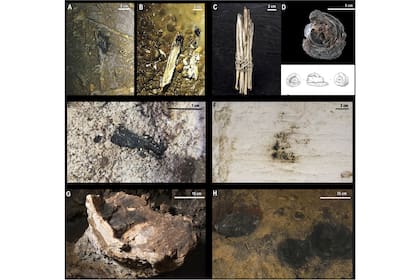 Los investigadores establecieron cuáles fueron algunos de los materiales empleados en las cavernas para producir luz a través de antorchas, lámparas de grasa y hogueras
