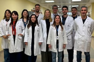 Cáncer de hígado: científicos argentinos descubren que bloquear una proteína podría mejorar la respuesta a la inmunoterapia