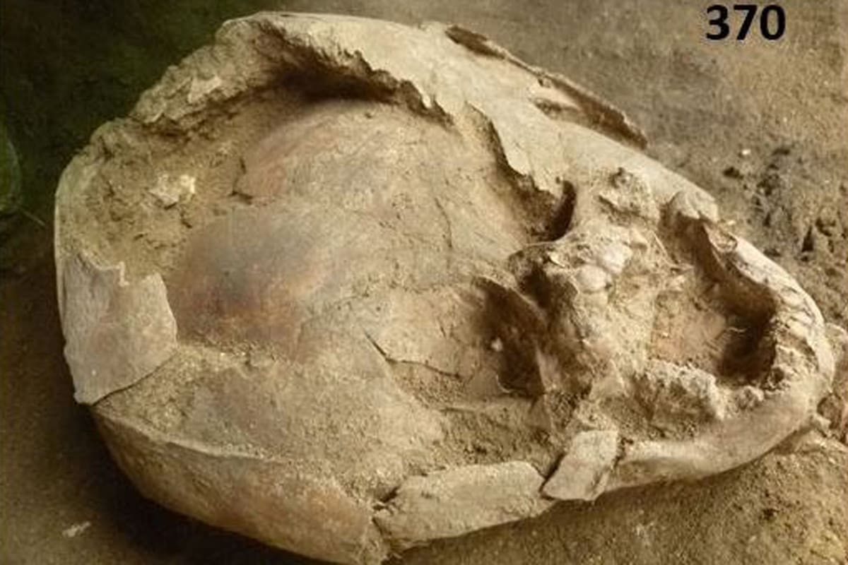 Los investigadores señalan que el hallazgo es la única instancia conocida del uso de cráneos infantiles como cascos para bebés.