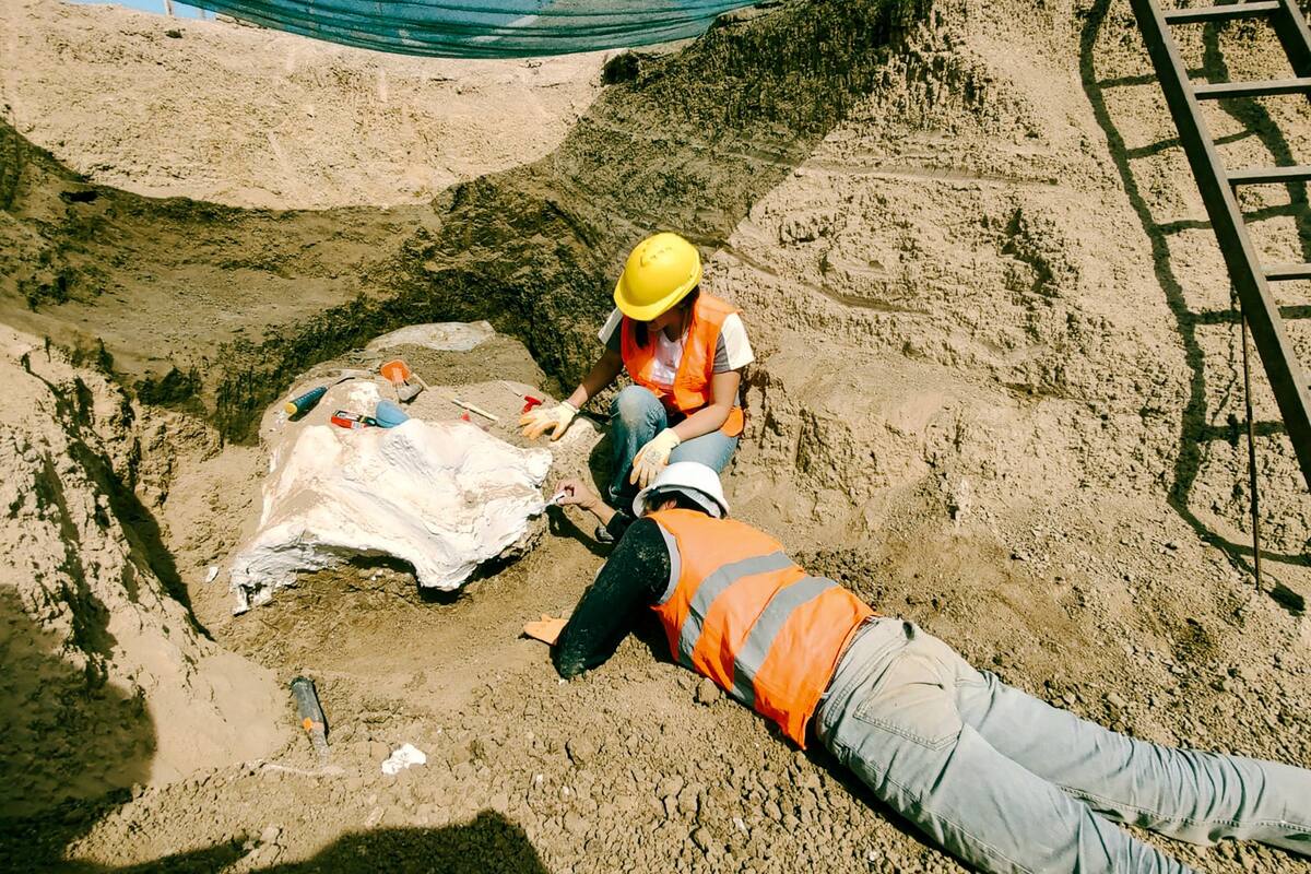 Los investigadores trabajaron intensamente en el lugar