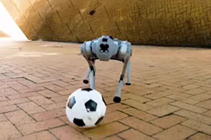 Los "invitados" a LA NACION son parecidos a DribbleBot, el Messi de los perros robot