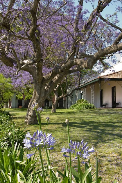 Los jardines de la Quinta Los Ombúes deparan gratos paseos.