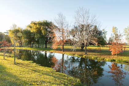 Los jardines de las Termas de Villa Elisa en Entre Ríos.