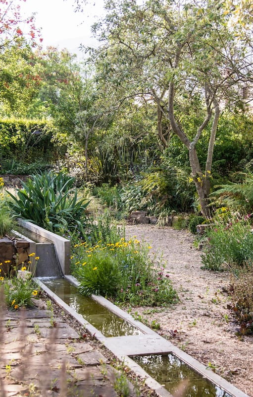 Los jardines de lluvia concentran temporalmente el agua para que el suelo la absorba de forma gradual
