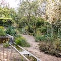 Cómo diseñar jardines que absorban lluvias intensas