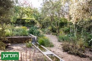 Cómo diseñar jardines que absorban lluvias intensas