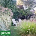 Qué recursos usar para que un jardín chico se sienta mucho más grande