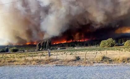 Los jóvenes quisieron desarrollar una app para detectar incendios ante los siniestros que arrrasan miles de hectáreas en el país, como lo ocurrido últimamente en Chubut