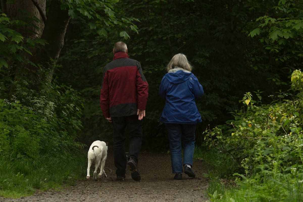 Los jubilados del PAMI pueden elegir entre distintas opciones recreativas