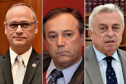 Los jueces Portela, Giorgio y Carlomagno, del Tribunal Superior de Justicia de Entre Ríos