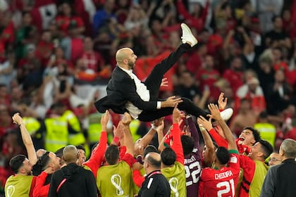 Los jugadores de Marruecos tiran al aire al director técnico Walid Regragui, nacido en Francia, después de clasificarse para los cuartos de final del Mundial Qatar 2022 gracias a una definición por penales contra España.