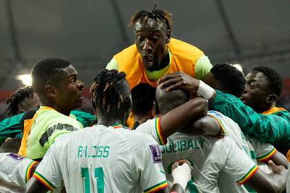 Los jugadores de Senegal celebran un tanto de su equipo durante el partido del Grupo A del Mundial entre Ecuador y Senegal, en el estadio Jalifa Internacional, en Doha, Qatar, el 29 de noviembre de 2022. (AP Foto/Francisco Seco)