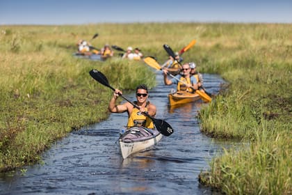Los kayaks avanzan en fila india por un estrecho canal.