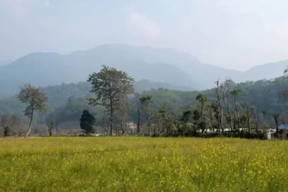 Los kusunda eran nómadas, pero hoy la mayoría vive en el distrito de Dang, en el oeste de Nepal (Foto: BBC EILEEN MCDOUGALL)