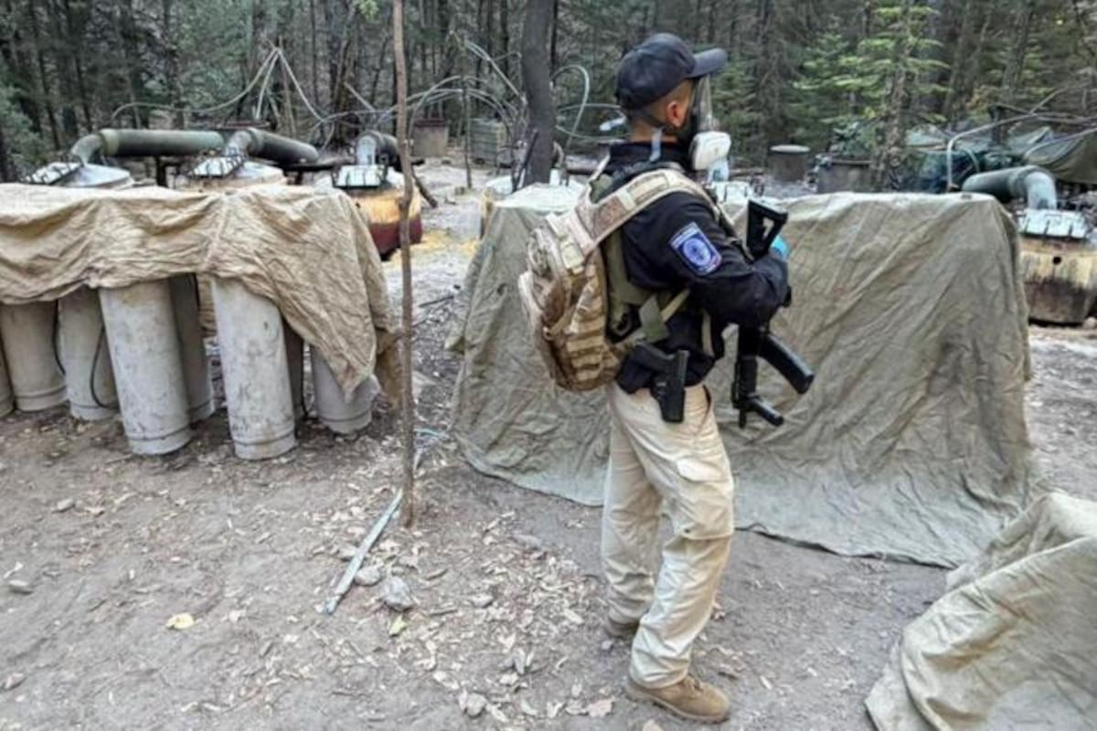 Los laboratorios desmantelados en el operativo en Chihuahua en el que, según informacionesperiodísticas, participaron los dos estadounidenses, medían 850 metros cuadrados y tenían enormes depósitos de acetona, gas y "material blanco"