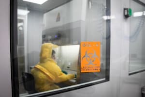 Nadie monitorea los experimentos con virus riesgosos que podrían iniciar la próxima pandemia