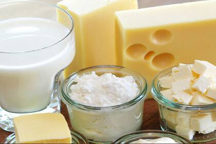 Los lácteos son fundamentales para el funcionamiento cerebrovascular