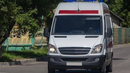 Los ladridos alertaron a los funcionarios, quienes llamaron a una ambulancia.
Foto: iStock