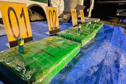 Los ladrillos de cocaína incautados
