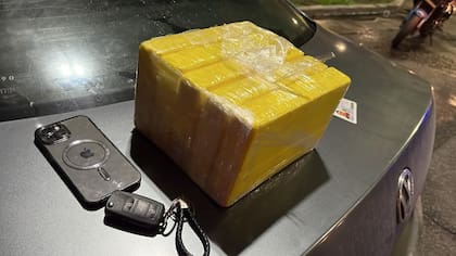 Los ladrillos de cocaína que encontraron en el interior del vehículo.