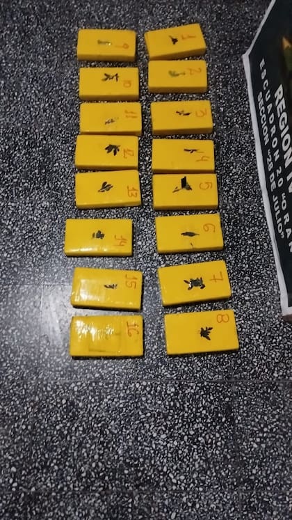 Los "ladrillos" en el que estaba guardada la droga