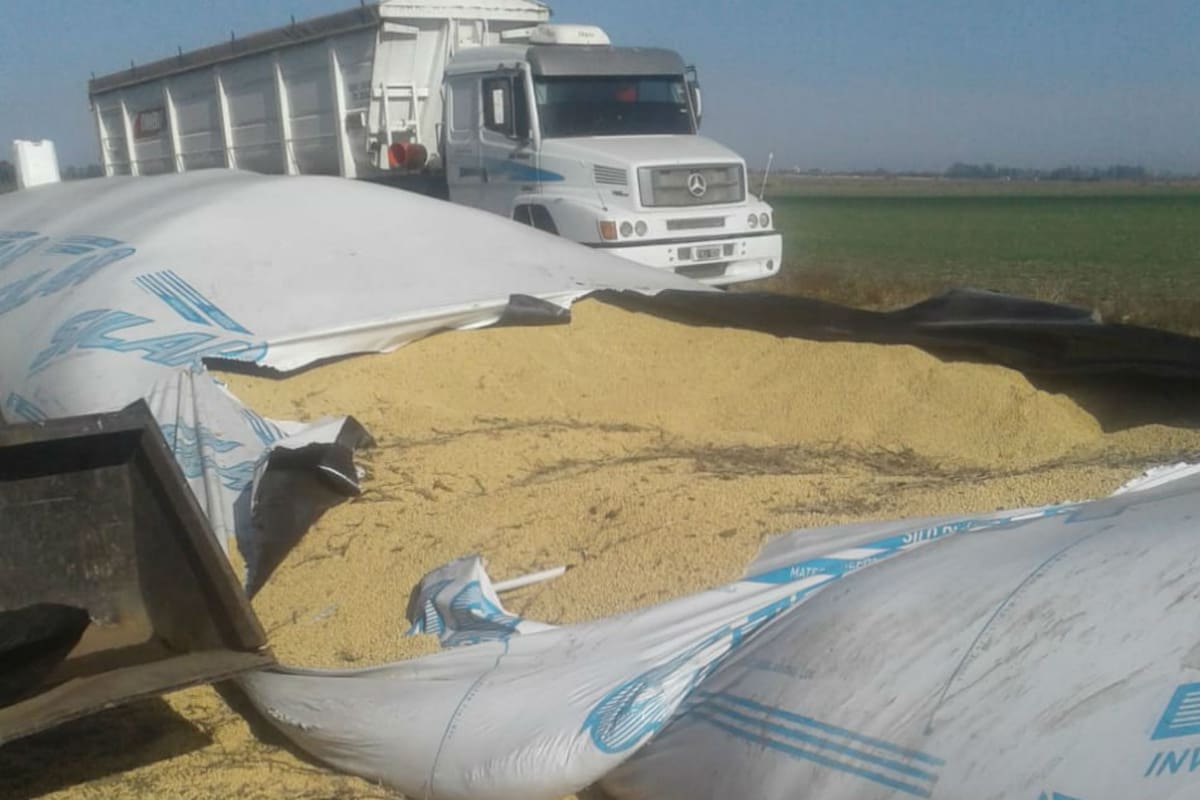 Los ladrones hicieron cinco huecos para cargar el camión