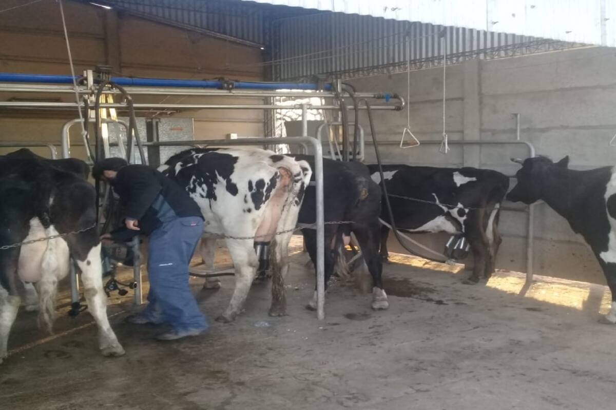 Los ladrones saquearon el tambo del Centro de Formación Rural El Tejado