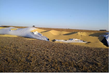 Los ladrones se habrían llevado un camión cargado