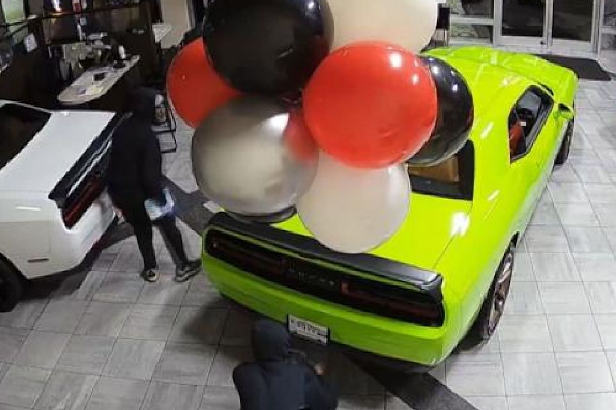 Los ladrones se llevaron seis autos de lujo en menos de un minuto