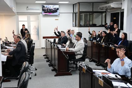 Los legisladores chaqueños, al votar para suspender las PASO en 2027