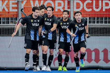 Los Leones van por la recuperación ante Nueva Zelanda