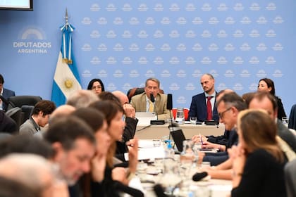 Los libertarios Nicolás Mayoraz y Santiago Santurio escuchan el pronunciamiento de entidades sobre el proyecto oficial para regular el lobby