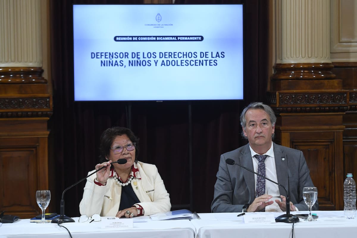 Los libertarios Vilma Bedia (senadora) y Nicolás Mayoraz (diputado) fueron designados presidente y vice de la Comisión Bicameral del Defensor de los Derechos de Niños y Adolescentes