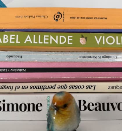 Los libros que lee Ámbar (Foto: @ambardebenedictis)