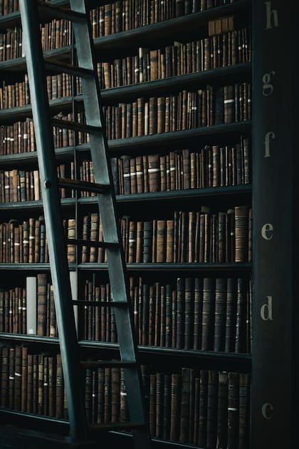 Los libros son los polinizadores de nuestras mentes, difundiendo ideas que se reproducen por sí mismas a través del tiempo y el espacio.