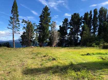 Los lotes más caros en el barrio Cerrado Jardines del Lago son los que están situados sobre la costa
