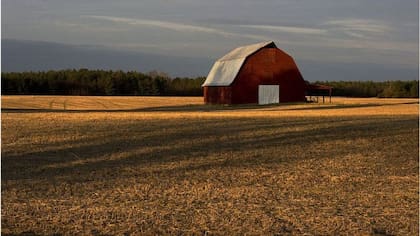 Los Loving eran del condado rural de Caroline en Virginia