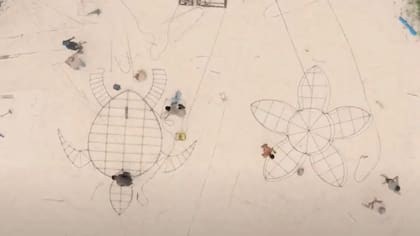 Los lugareños construyeron estructuras de acero con forma de estrellas de mar y de tortugas para que actuaran como nuevos arrecifes.