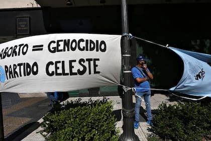 Los manifestantes celestes con banderas y pancartas frente al Congreso de la Nación