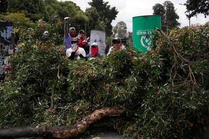 Los manifestantes miran desde una barricada de ramas de árboles durante las protestas contra las políticas económicas del presidente Guillermo Lasso en el centro de Quito, Ecuador, el viernes 24 de junio de 2022. (AP Foto/Dolores Ochoa)