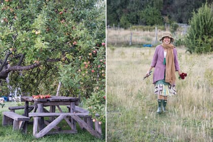 Los manzanos se dan muy bien en la chacra. Ana Goñi, anfitriona de La Paciencia