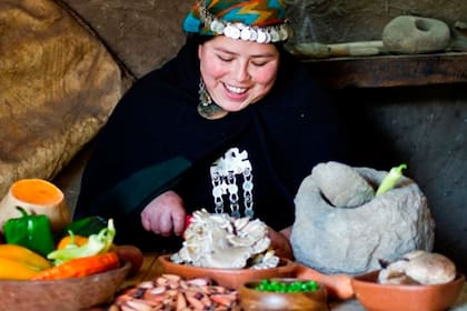 Los mapuches viven principalmente en el sur de Chile y Argentina