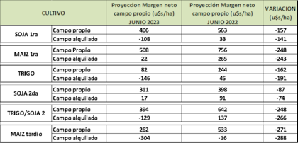 Los márgenes de los principales cultivos en la región nucleo