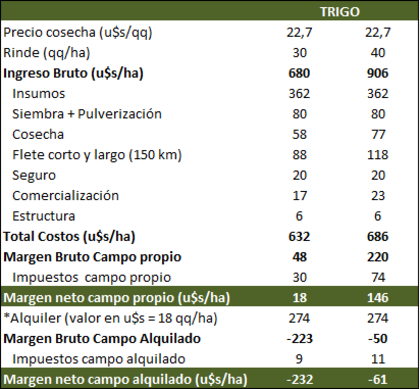 Los márgenes del trigo para la nueva campaña