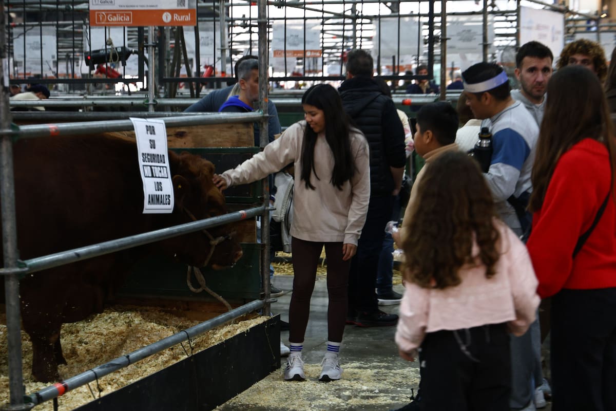 Los más chicos se acercan a conocer los animales expuestos en La Rural