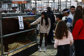 Los más chicos se deslumbran con animales, tractores y actividades en la Exposición Rural