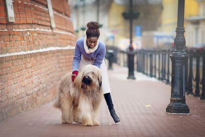 Los más peludos no necesitan más abrigo para estar bien protegidos