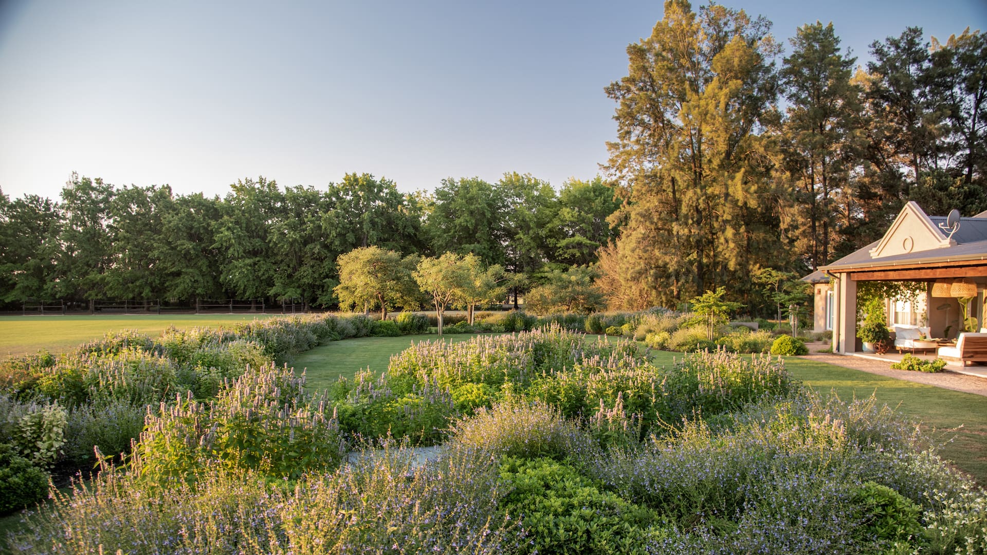 Los maxicanteros, como los llaman Valentina y Sofía, tienen una matriz que se repite, definida por azareros enanos que les dan estructura, la Salvia ‘African Sky’, el Agastache foeniculum y el Andropogon gerardii,que será la estrella más avanzado el otoño.