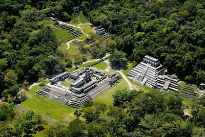 Los Mayas habrían desaparecido por un accionar que perjudicó su agricultura repentina